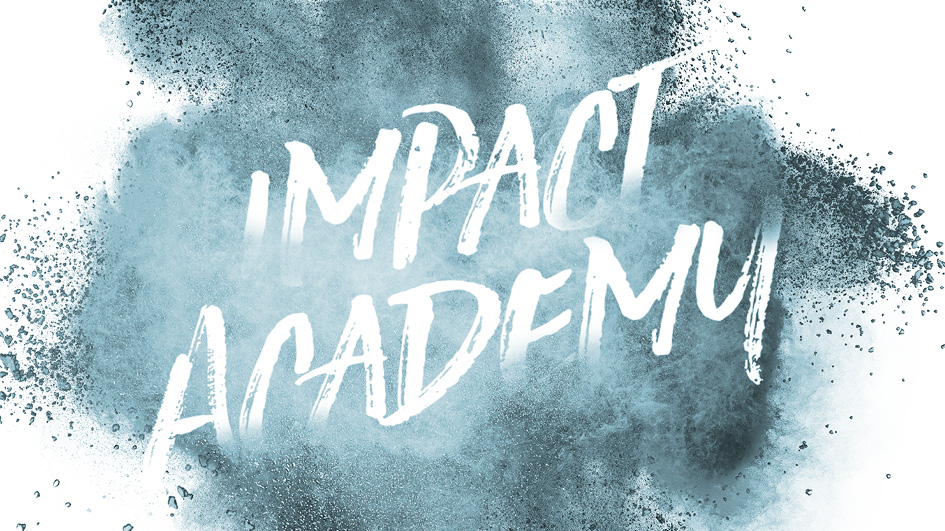 SEIF Impact Academy Logo