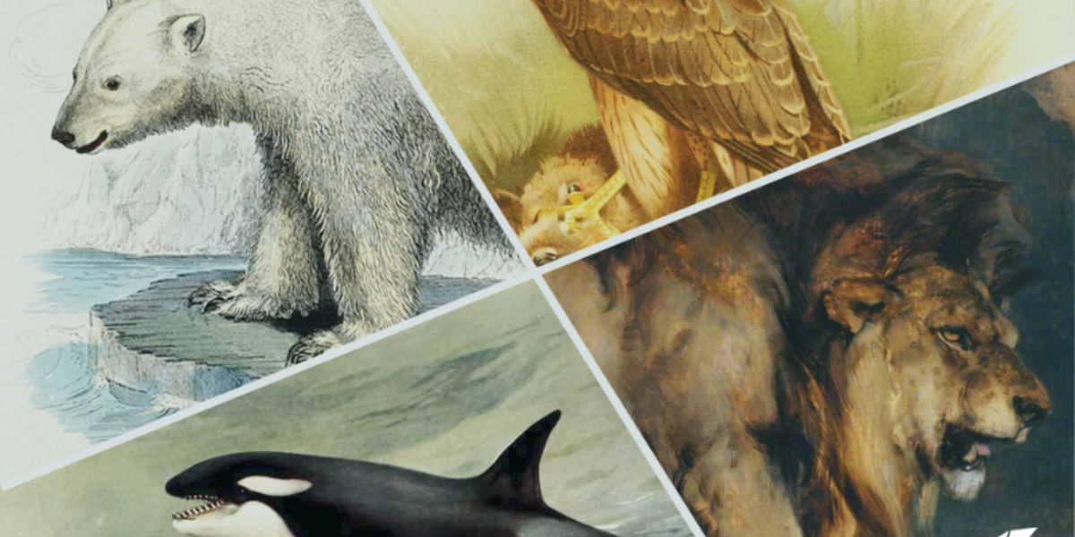 evolutionary investing