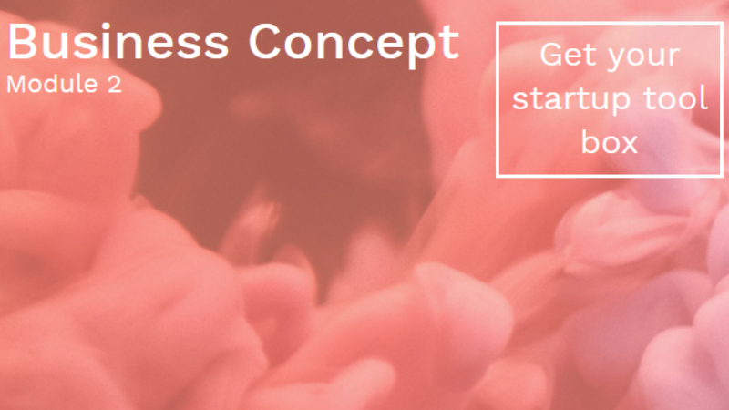 business concept course